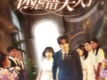 陸總住手吧，你虐錯(cuò)夫人了(全集)