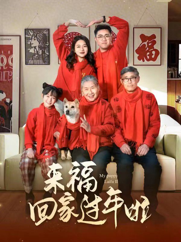 來?；丶疫^年啦(全集)