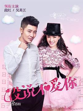 沒(méi)說(shuō)不愛你(全集)