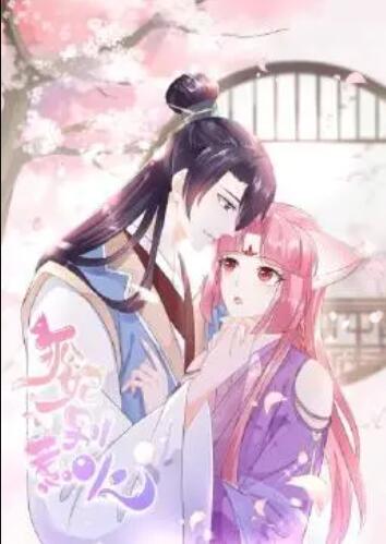 狐妃，別惹火