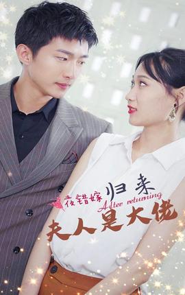 一夜錯嫁，歸來夫人是大佬(全集)