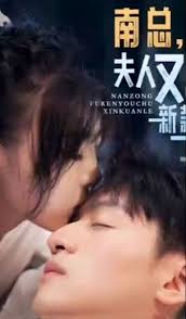 南總，夫人又出新款了(全集)