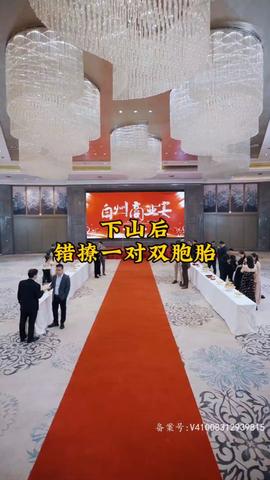 下山后，錯(cuò)撩一對(duì)雙胞胎(全集)