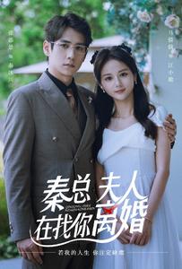 秦總，夫人在找你離婚(全集)