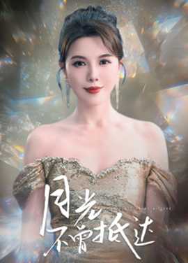 月光不曾抵達(dá)(全集)