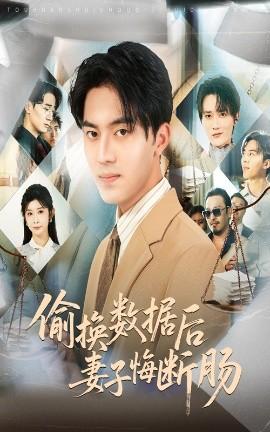 偷換數(shù)據(jù)后妻子悔斷腸(全集)