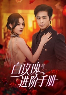 白玫瑰進(jìn)階手冊(全集)