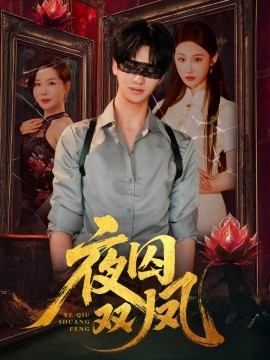 夜囚雙鳳(全集)