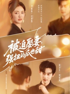 被迫娶妻，強扭的瓜也甜(全集)