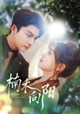 楠木向陽(全集)