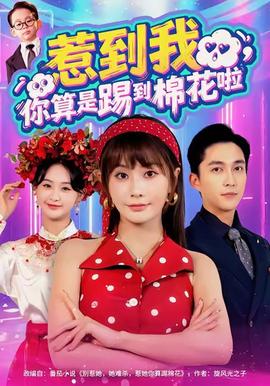 惹到我，你算是踢到棉花啦(全集)