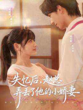 失憶后，趙總弄丟了他的小嬌妻(全集)