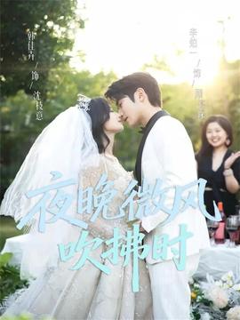 夜晚微風吹拂時(全集)