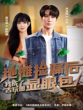 地攤撿漏后，我成了古玩圈顯眼包(全集)