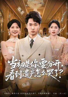 當(dāng)初是你要分開，看到遺產(chǎn)怎么哭了？(全集)