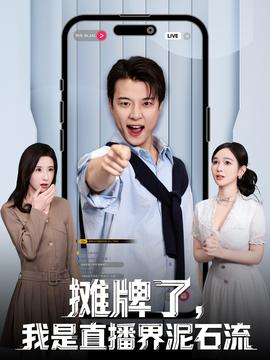 攤牌了，我是直播界泥石流(全集)