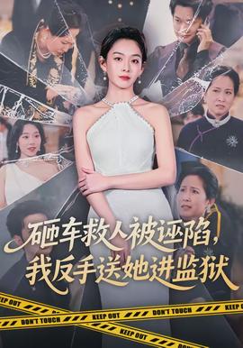 砸車救人被誣陷，我反手送她進監(jiān)獄(全集)