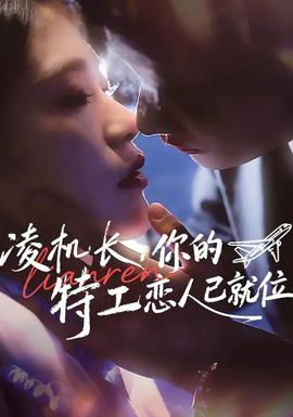 凌機長，你的特工戀人已就位(全集)