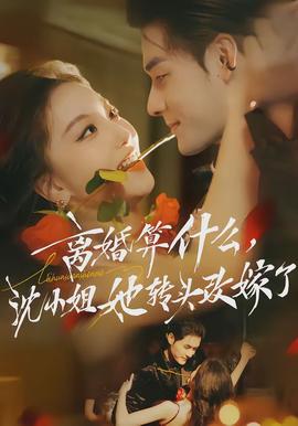 離婚算什么，沈小姐她轉(zhuǎn)頭改嫁了(全集)