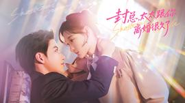 封總，太太跟你離婚很久了(全集)