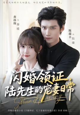 閃婚領(lǐng)證，陸先生的寵妻日常(全集)